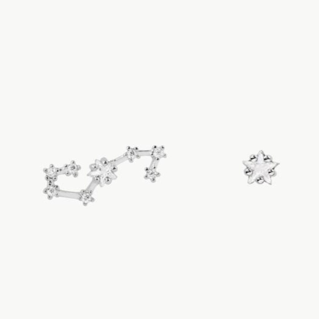 Scorpio Silver Zodiac Earrings (Y)